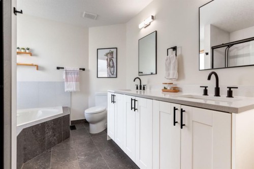 13 Bow Ridge Link, Cochrane, AB - Indoor Photo Showing Bathroom