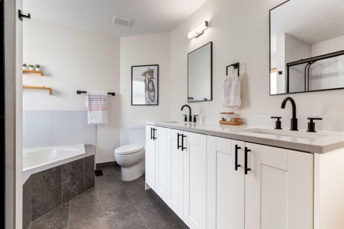 13 Bow Ridge Link, Cochrane, AB - Indoor Photo Showing Bathroom