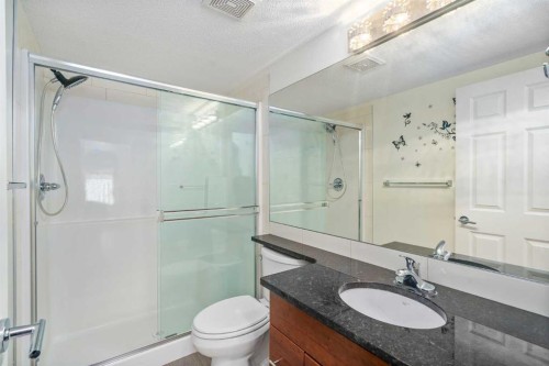 2312-279 Copperpond Common Se, Calgary, AB - Indoor Photo Showing Bathroom