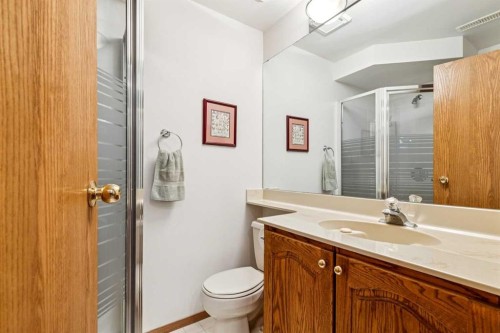 75 Shawnee Crescent, Calgary, AB - Indoor Photo Showing Bathroom