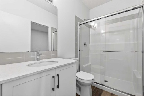 195 Corner Glen Crescent Ne, Calgary, AB - Indoor Photo Showing Bathroom