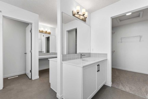 195 Corner Glen Crescent Ne, Calgary, AB - Indoor Photo Showing Bathroom