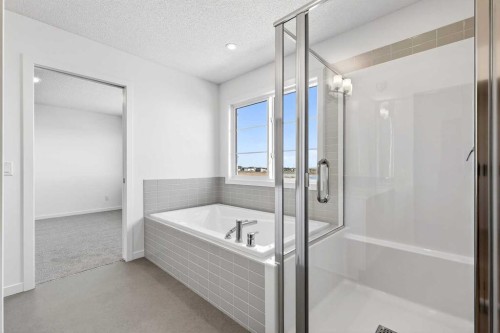 195 Corner Glen Crescent Ne, Calgary, AB - Indoor Photo Showing Bathroom