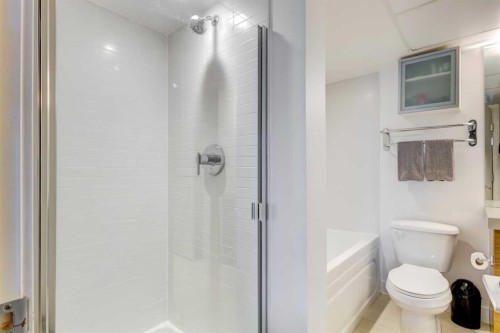405-1110 11 Street Sw, Calgary, AB - Indoor Photo Showing Bathroom
