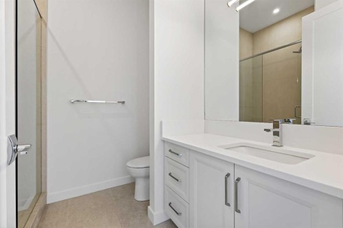 102-140 Marina Cove Se, Calgary, AB - Indoor Photo Showing Bathroom