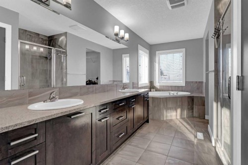 188 Mcivor Terrace, Chestermere, AB - Indoor Photo Showing Bathroom