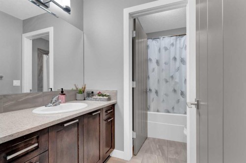 188 Mcivor Terrace, Chestermere, AB - Indoor Photo Showing Bathroom