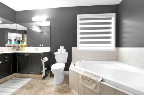 2101 Luxstone Boulevard Sw, Airdrie, AB - Indoor Photo Showing Bathroom