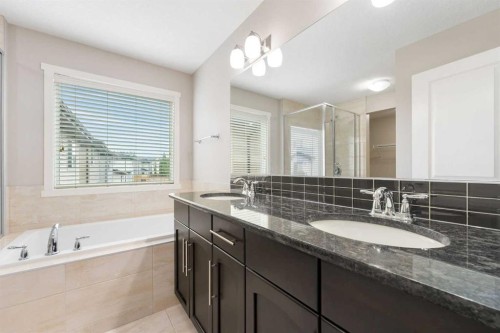 72 Walden Heights Se, Calgary, AB - Indoor Photo Showing Bathroom