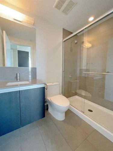 1502-1122 3 Street Se, Calgary, AB - Indoor Photo Showing Bathroom
