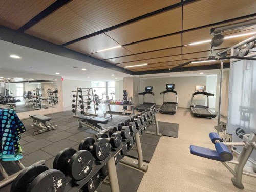 1502-1122 3 Street Se, Calgary, AB - Indoor Photo Showing Gym Room