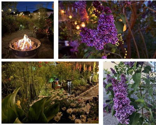 48 Marbank Place Ne, Calgary, AB - Outdoor