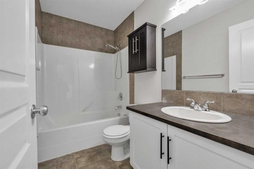 368 New Brighton Place Se, Calgary, AB - Indoor Photo Showing Bathroom