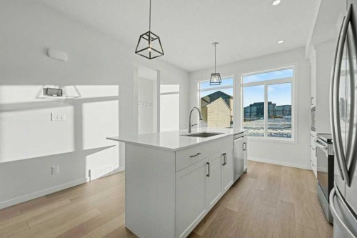 219 Herron Landing Ne, Calgary, AB - Indoor Photo Showing Kitchen With Upgraded Kitchen