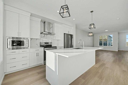 219 Herron Landing Ne, Calgary, AB - Indoor Photo Showing Kitchen With Upgraded Kitchen