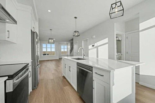 219 Herron Landing Ne, Calgary, AB - Indoor Photo Showing Kitchen With Upgraded Kitchen