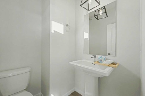219 Herron Landing Ne, Calgary, AB - Indoor Photo Showing Bathroom