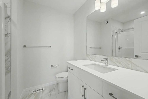 219 Herron Landing Ne, Calgary, AB - Indoor Photo Showing Bathroom