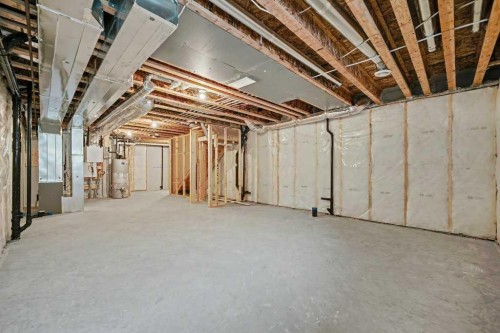 219 Herron Landing Ne, Calgary, AB - Indoor Photo Showing Basement