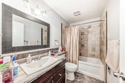 6944 Temple Drive Ne, Calgary, AB - Indoor Photo Showing Bathroom