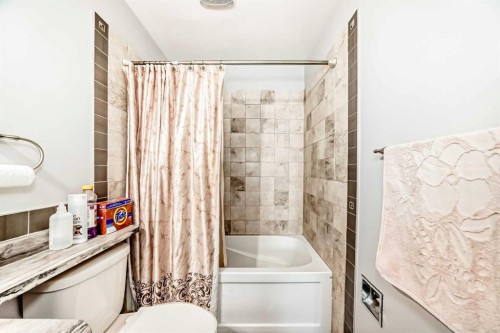 6944 Temple Drive Ne, Calgary, AB - Indoor Photo Showing Bathroom