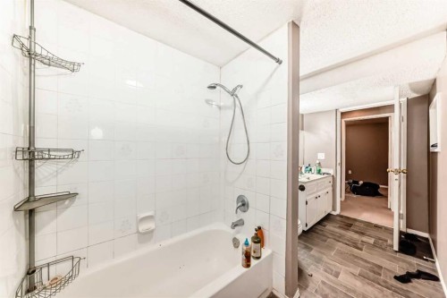 6944 Temple Drive Ne, Calgary, AB - Indoor Photo Showing Bathroom