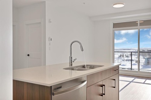 7322-1802 Mahagony Boulevard Se, Calgary, AB - Indoor Photo Showing Kitchen With Double Sink