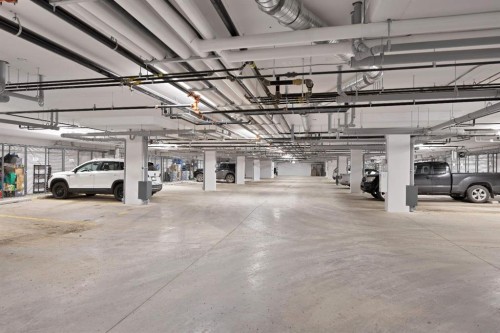 7322-1802 Mahagony Boulevard Se, Calgary, AB - Indoor Photo Showing Garage