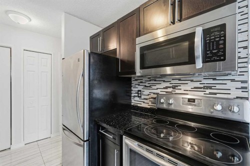 204-2611 15A Street Sw, Calgary, AB - Indoor Photo Showing Kitchen