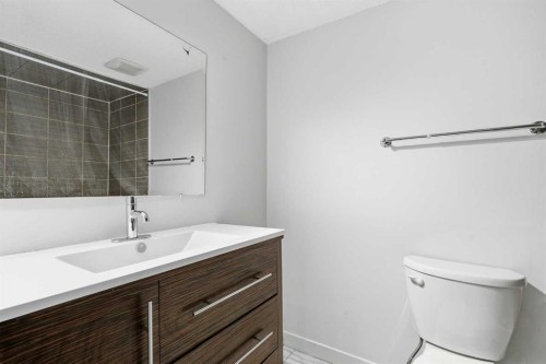 204-2611 15A Street Sw, Calgary, AB - Indoor Photo Showing Bathroom