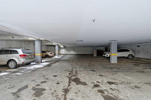 204-2611 15A Street Sw, Calgary, AB - Indoor Photo Showing Garage