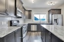 140 Cornerstone Avenue Ne, Calgary, AB  - Indoor Photo Showing Kitchen With Upgraded Kitchen 