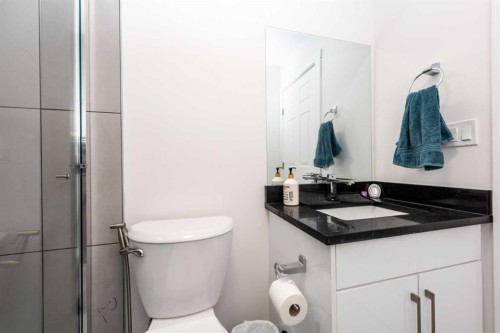 7 Cityline Heath Ne, Calgary, AB - Indoor Photo Showing Bathroom