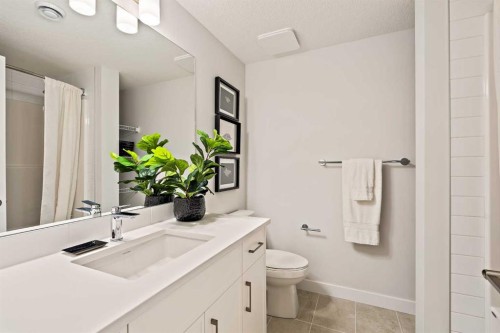 239 Creekstone Circle Sw, Calgary, AB - Indoor Photo Showing Bathroom
