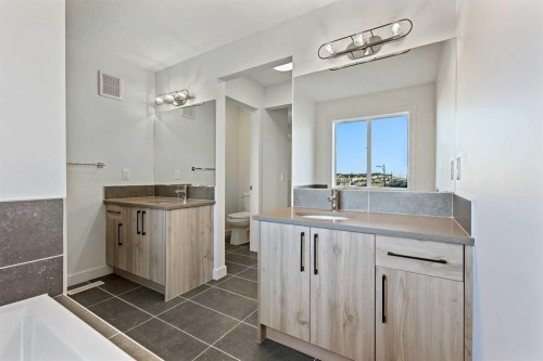220 Waterford Heath, Chestermere, AB - Indoor Photo Showing Bathroom