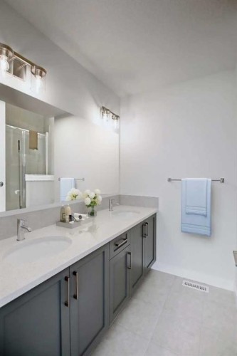 344 Waterford Boulevard, Chestermere, AB - Indoor Photo Showing Bathroom