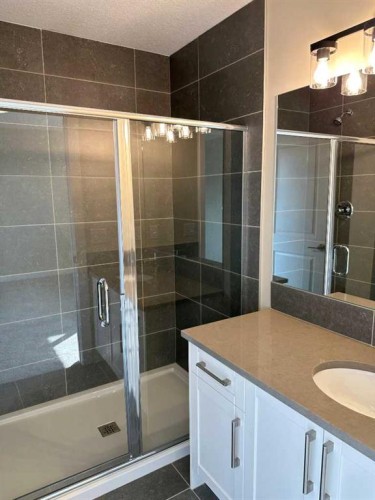 356 Waterford Boulevard, Chestermere, AB - Indoor Photo Showing Bathroom