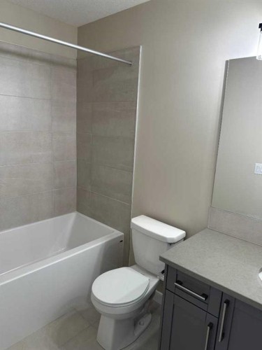356 Waterford Boulevard, Chestermere, AB - Indoor Photo Showing Bathroom