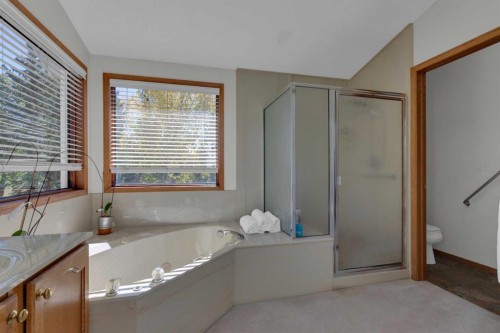 271 Mountain Park Drive Se, Calgary, AB - Indoor Photo Showing Bathroom