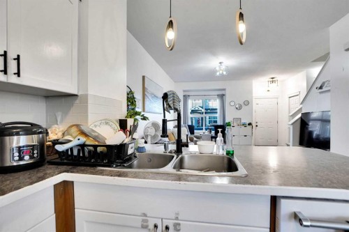 353-111 Tarawood Lane Ne, Calgary, AB - Indoor Photo Showing Kitchen