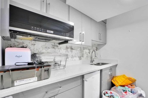353-111 Tarawood Lane Ne, Calgary, AB - Indoor Photo Showing Kitchen With Double Sink