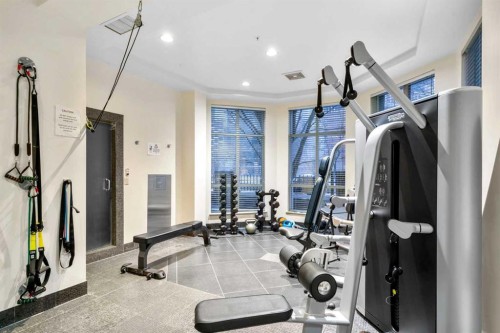 804-690 Princeton Way Sw, Calgary, AB - Indoor Photo Showing Gym Room