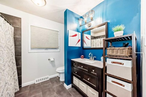 107 Fawn Crescent Se, Calgary, AB - Indoor Photo Showing Bathroom