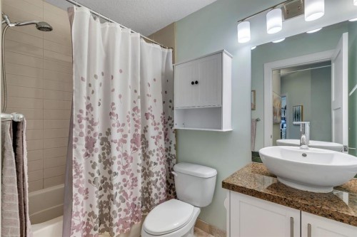 304-518 33 Street Nw, Calgary, AB - Indoor Photo Showing Bathroom