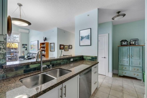 304-518 33 Street Nw, Calgary, AB - Indoor Photo Showing Kitchen With Double Sink