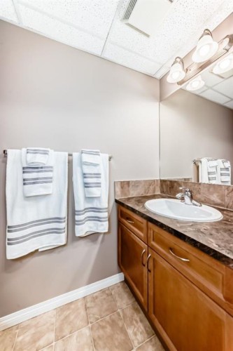 10-21 Mckenzie Towne Gate Se, Calgary, AB - Indoor Photo Showing Bathroom