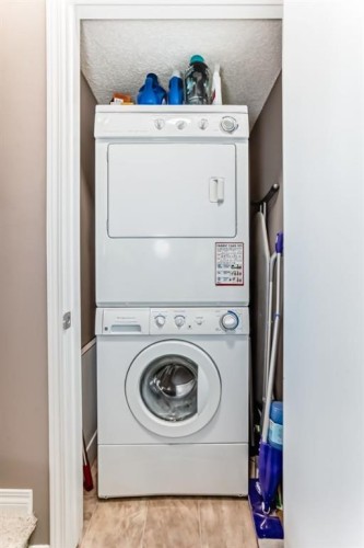 10-21 Mckenzie Towne Gate Se, Calgary, AB - Indoor Photo Showing Laundry Room