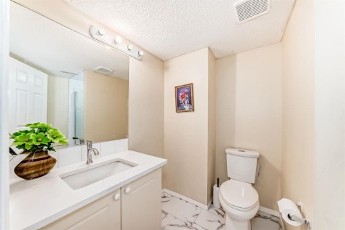 158 Somervale Close Sw, Calgary, AB - Indoor Photo Showing Bathroom