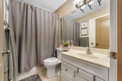 149 West Creek Boulevard, Chestermere, AB - Indoor Photo Showing Bathroom