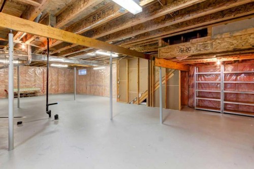36 Brightondale Crescent Se, Calgary, AB - Indoor Photo Showing Basement